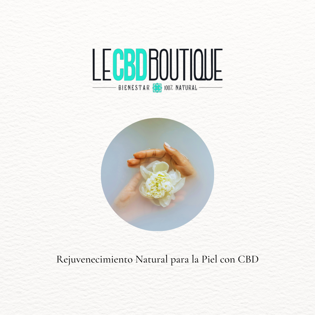 CBD: Rejuvenecimiento Natural para la Piel